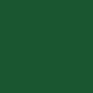 ISCVE Colours Dark Green CMYK 400px ISCVE Colours Dark Green CMYK 400px