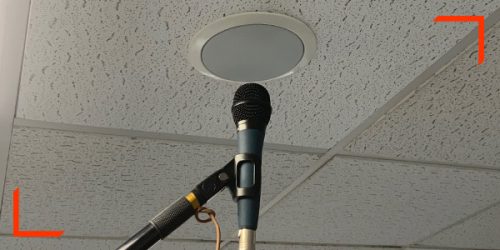 ISCVE-Ear-on-a-Stick-600x300-Image